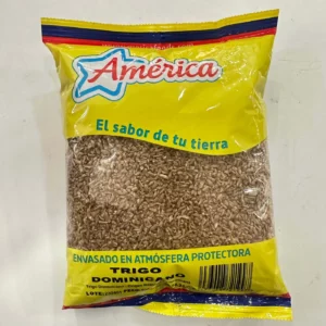 TRIGO DOMINICANO AMERICA 500g